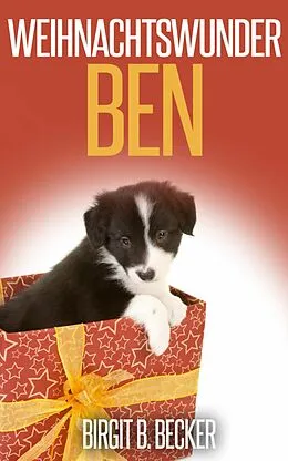 E-Book (epub) Weihnachtswunder Ben von Birgit B. Becker