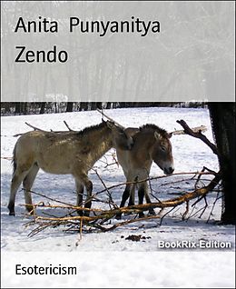 E-Book (epub) Zendo von Anita Punyanitya