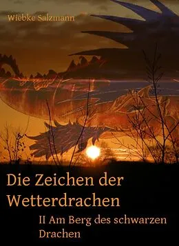 E-Book (epub) Die Zeichen der Wetterdrachen von Wiebke Salzmann