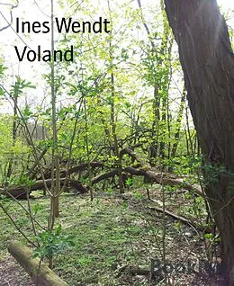 E-Book (epub) Voland von Ines Wendt