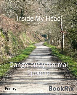 E-Book (epub) Inside My Head von Dangerously Normal Spoonie