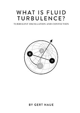 eBook (pdf) What Is Fluid Turbulence? de Gert Naue