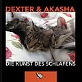 E-Book (epub) Die Kunst des Schlafens von GAX Axel Gundlach
