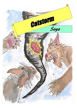 Kartonierter Einband Catstorm von Kasachstra Süss