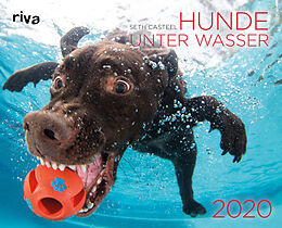Kalender Hunde unter Wasser 2020 von Seth Casteel