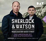 Audio CD (CD/SACD) Sherlock & Watson Neues aus der Baker Street: Das Abenteuer mit dem Blutdiamanten (Fall 13) von Viviane Koppelmann