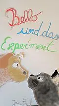 E-Book (epub) Bello und das Experiment von Jan Paul