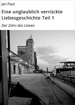 E-Book (epub) Eine unglaublich verrückte Liebesgeschichte Teil 1 von Jan Paul