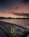 E-Book (epub) Gratis Bitcoin verdienen von Roger Maley