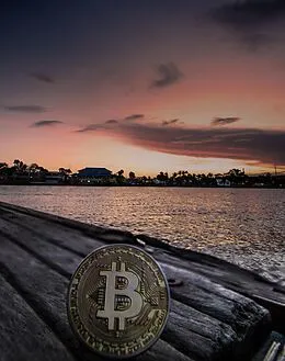 E-Book (epub) Gratis Bitcoin verdienen von Roger Maley