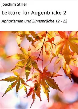 E-Book (epub) Lektüre für Augenblicke 2 von Joachim Stiller