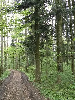 E-Book (epub) Sehr gut von Wolfgang Treitler