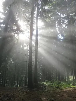 E-Book (epub) Und sag nicht, dass die Sonne scheint von Cornelia Ertmer