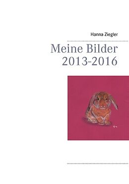 Kartonierter Einband Meine Bilder 2013-2016 von Hanna Ziegler