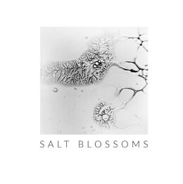 Fester Einband Salt Blossoms von Henrieke I. Strecker