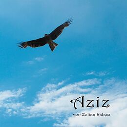 Kartonierter Einband Aziz von Zoltan Kalasz