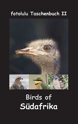Kartonierter Einband Birds of Südafrika von fotolulu