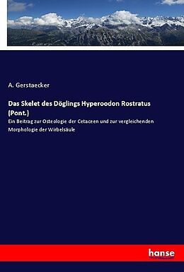 Kartonierter Einband Das Skelet des Döglings Hyperoodon Rostratus (Pont.) von A. Gerstaecker