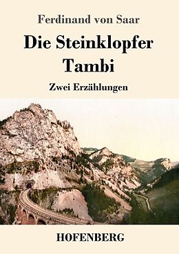 Kartonierter Einband Die Steinklopfer / Tambi von Ferdinand Von Saar