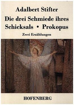 Kartonierter Einband Die drei Schmiede ihres Schicksals / Prokopus von Adalbert Stifter