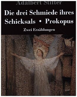 Fester Einband Die drei Schmiede ihres Schicksals / Prokopus von Adalbert Stifter
