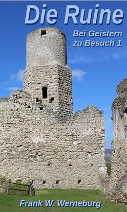 E-Book (epub) Die Ruine von Frank W. Werneburg