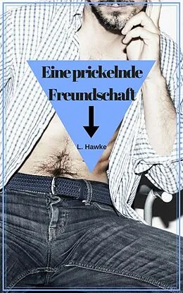E-Book (epub) Eine prickelnde Freundschaft von L. Hawke