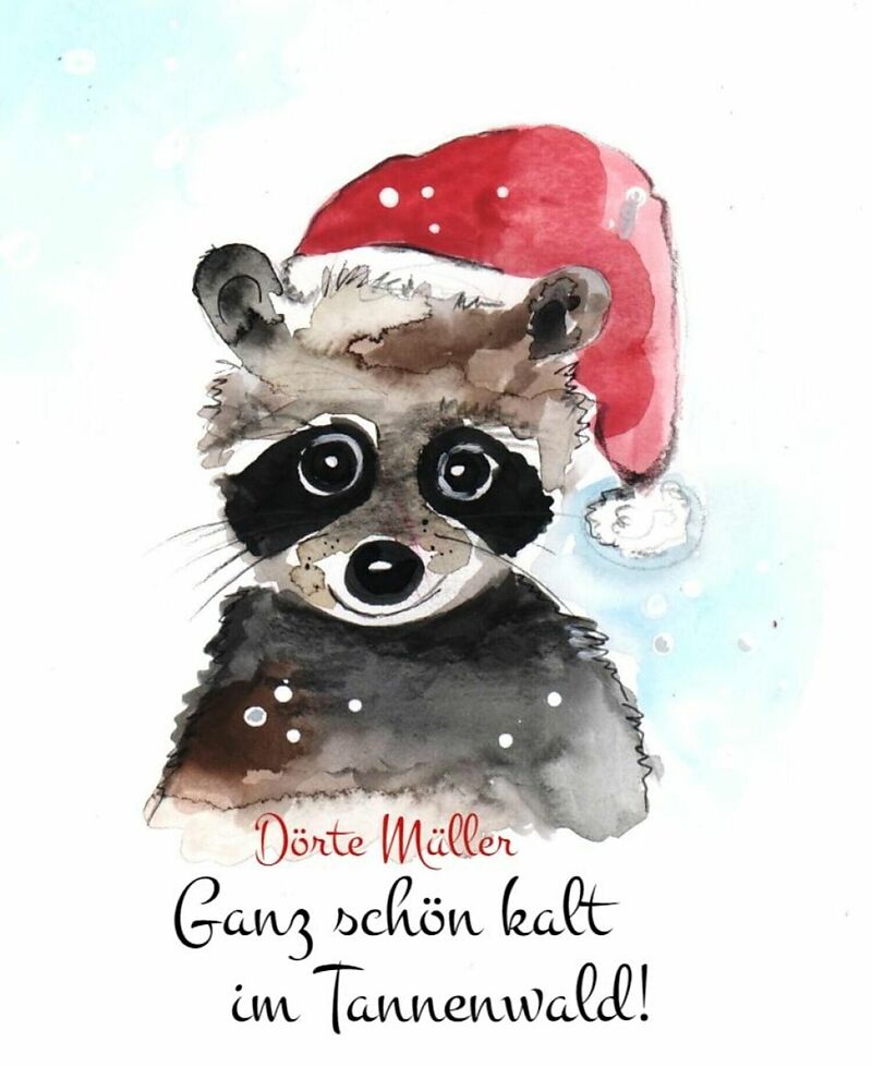 Ganz schön kalt im Tannenwald!