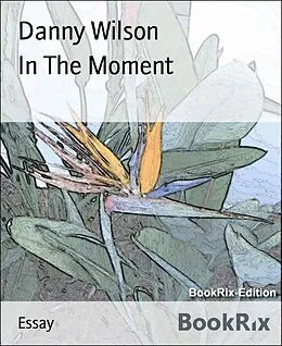 E-Book (epub) In The Moment von Danny Wilson