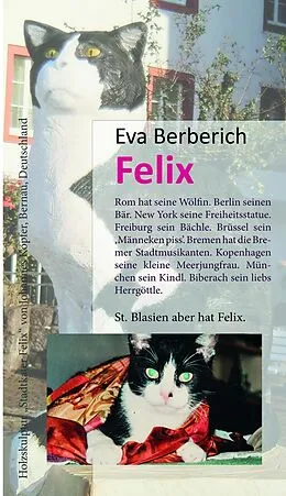E-Book (epub) Felix von Eva Berberich