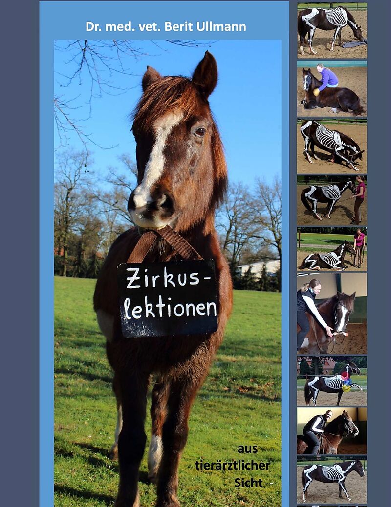 Zirkuslektionen
