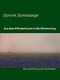 E-Book (epub) Aus dem Elfenbeinturm in die Dämmerung von Dominik Dürrenberger