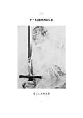 E-Book (epub) Galahad von Pfauenauge .
