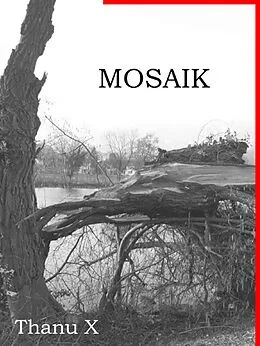 E-Book (epub) Mosaik von Thanu X