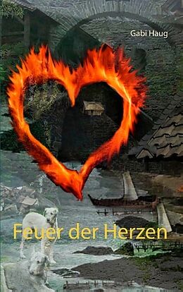 Kartonierter Einband Feuer der Herzen von Gabi Haug