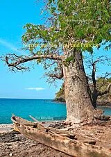 E-Book (epub) Notizen aus São Tomé und Príncipe von Silvia Sturzenegger-Post