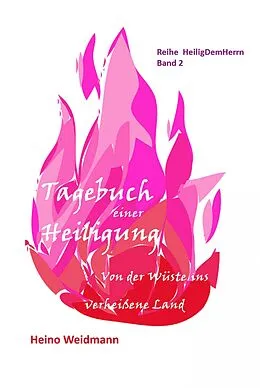 E-Book (epub) Tagebuch einer Heiligung von Heino Weidmann