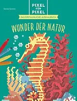 Kartonierter Einband Pixel für Pixel Das erstaunliche Ausmalbuch von Daniela Geremia
