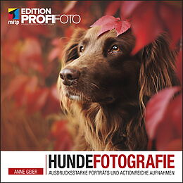 Kartonierter Einband Hundefotografie von Anne Geier