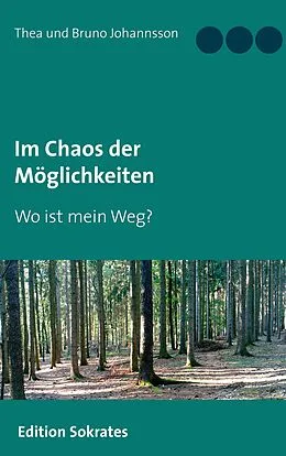 E-Book (epub) Im Chaos der Möglichkeiten von Thea Johannsson, Bruno Johannsson