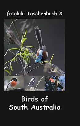E-Book (epub) Birds of South Australia von Fotolulu
