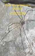 E-Book (epub) Finde den gestohlenen Schatz von Hans-Jürgen Soll