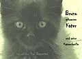 E-Book (epub) Bruno schwarzer Kater von Karl Barnreiter