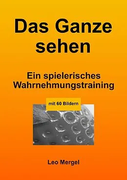 E-Book (epub) Das Ganze sehen von O. L. Mergel