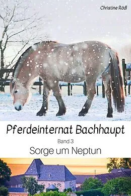 E-Book (epub) Sorge um Neptun von Christine Rödl