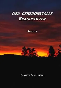 E-Book (epub) Der geheimnisvolle Brandstifter von Gabriele Schillinger