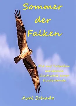 E-Book (epub) Sommer der Falken von Axel Schade