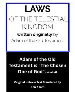 E-Book (epub) Laws of the Telestial Kingdom von Ben Adam
