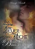 E-Book (epub) Aus Feuer und Licht von Swantje Berndt