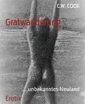 E-Book (epub) Gratwanderung von C. W. Cook